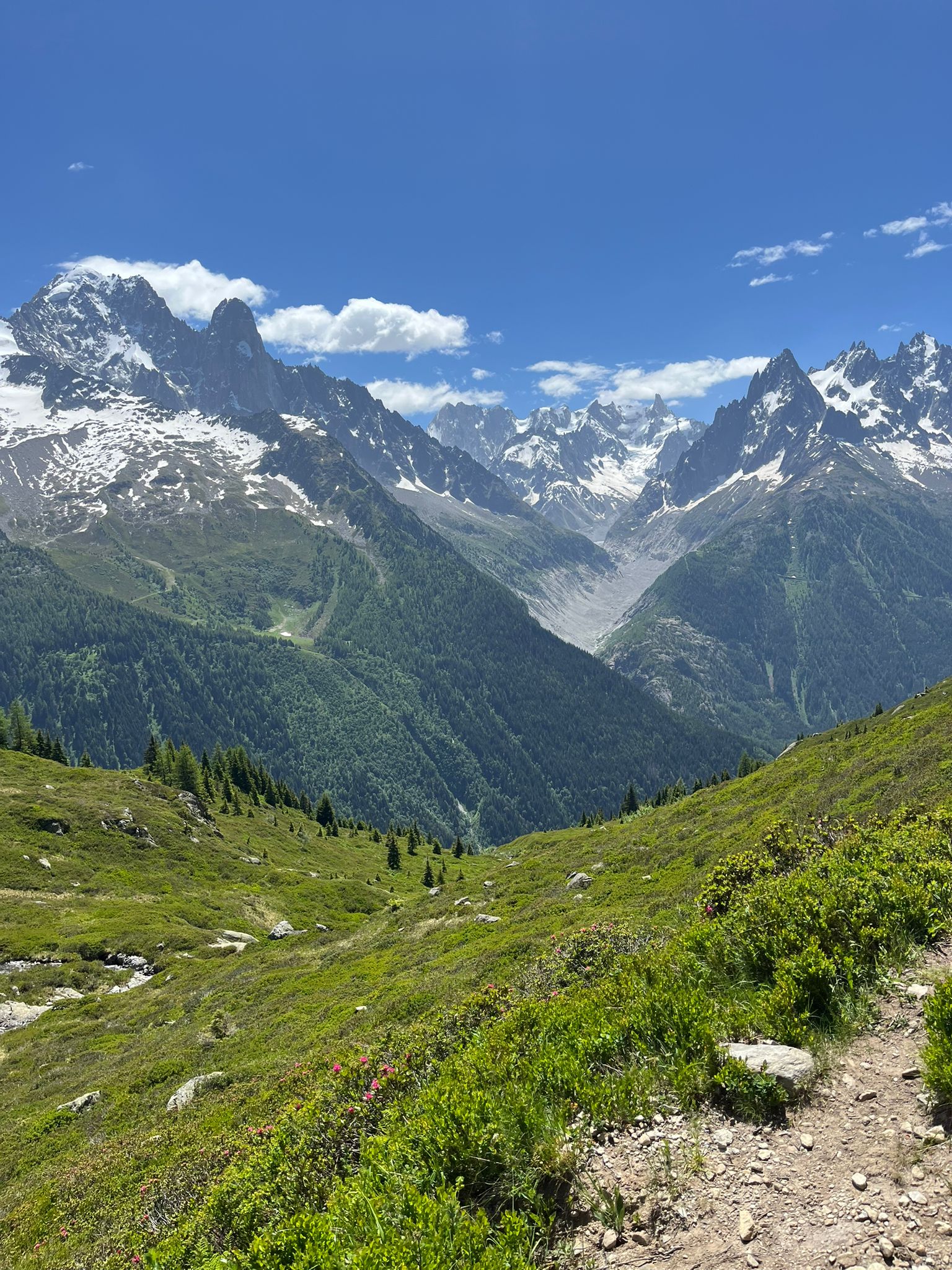 Panoramic view of the Swiss Alps near Liddes
