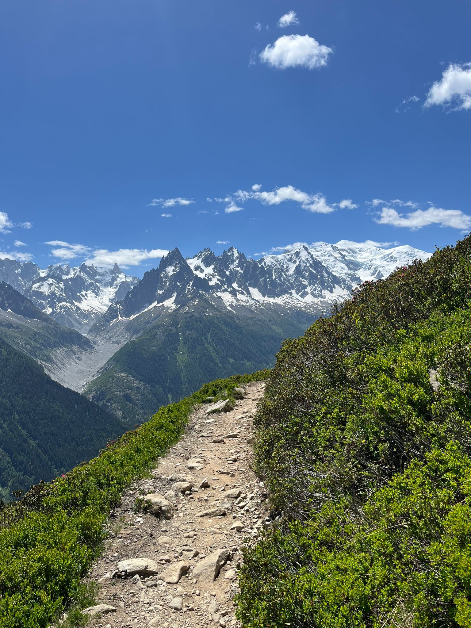 Hiking trail above Liddes, Switzerland